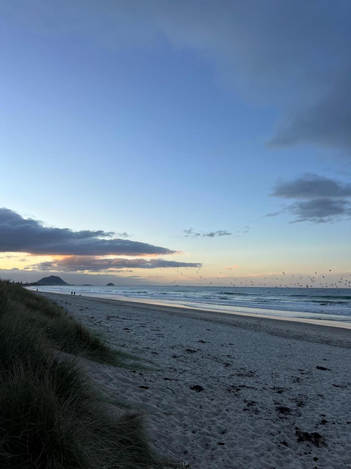 Papamoa Beach, Pohutukawa Deluxe Studio, On Hugoway Luaran gambar
